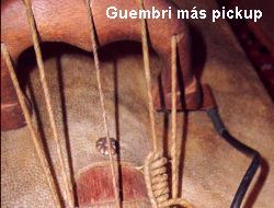 guembri + pickup